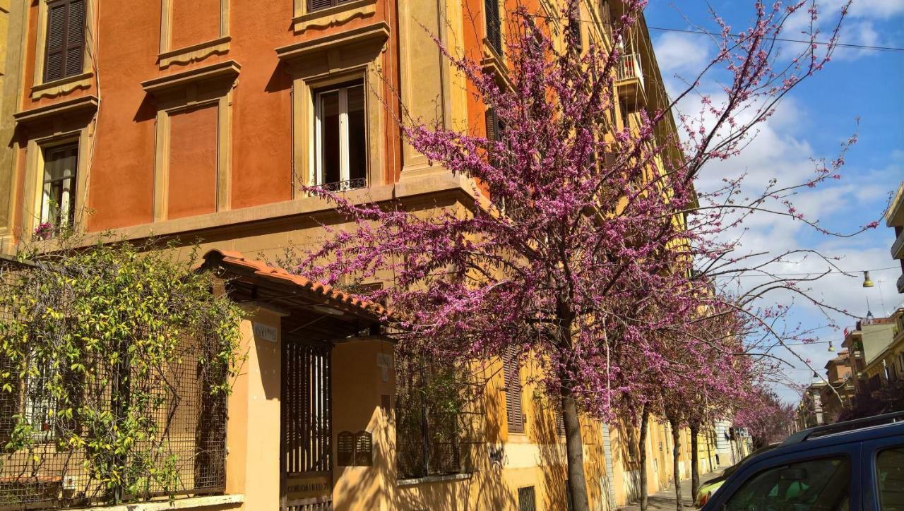Musei Vaticani Bed & Breakfast