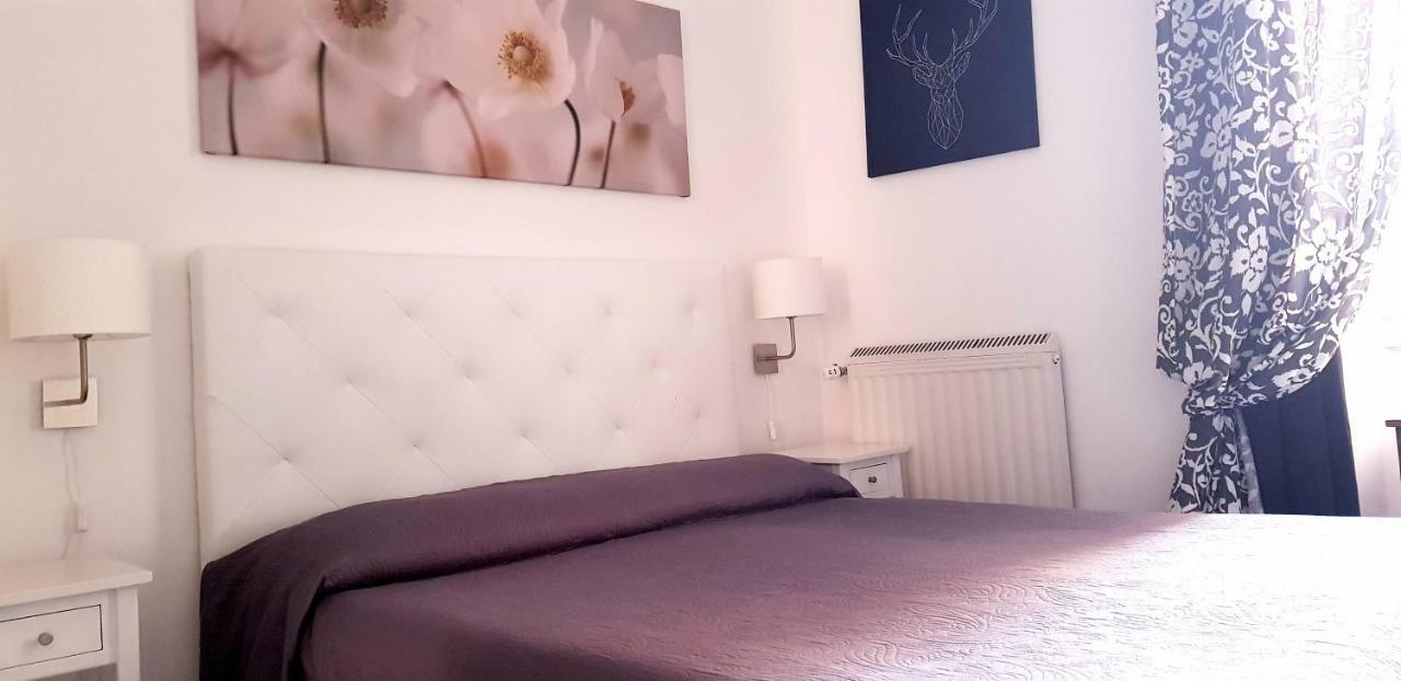 Bed & Breakfast Musei Vaticani Roma